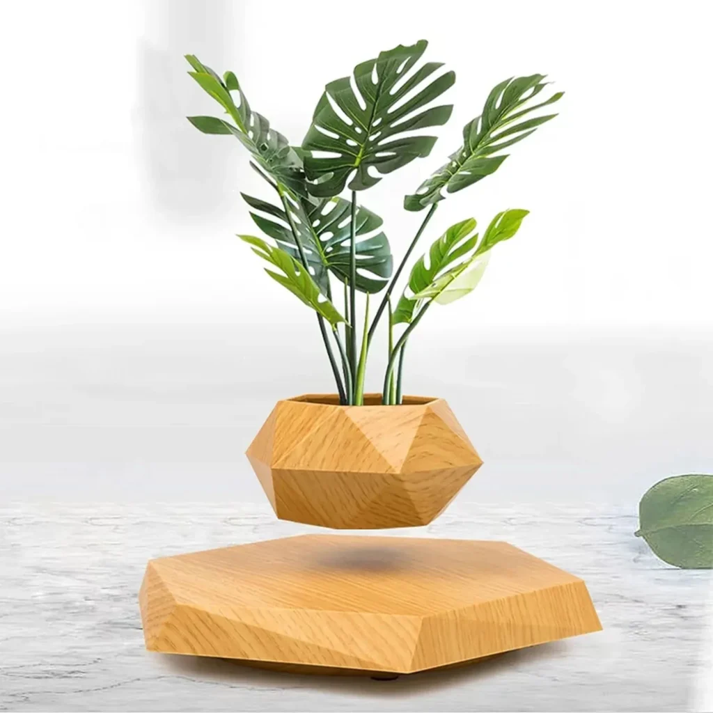 Levitating Plant Pot Malta: Magnetic Floating Plant